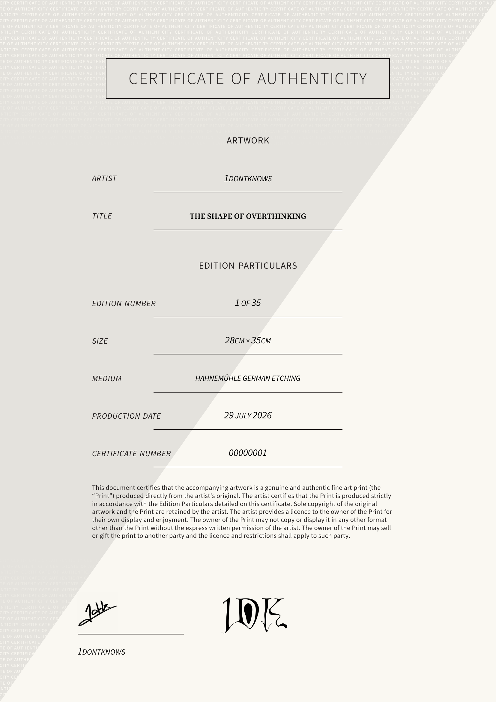 The Shape Of Overthinking — Certificate of Authenticity