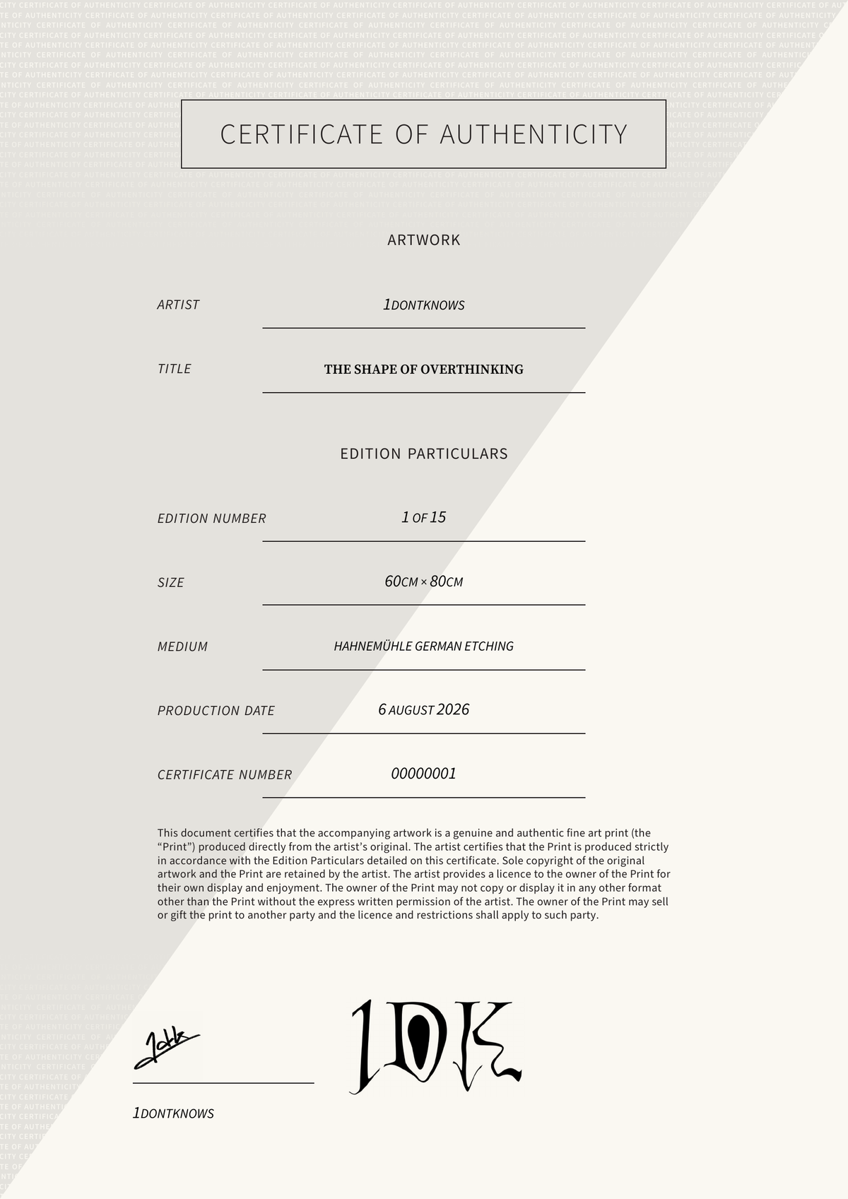 The Shape Of Overthinking — Certificate of Authenticity
